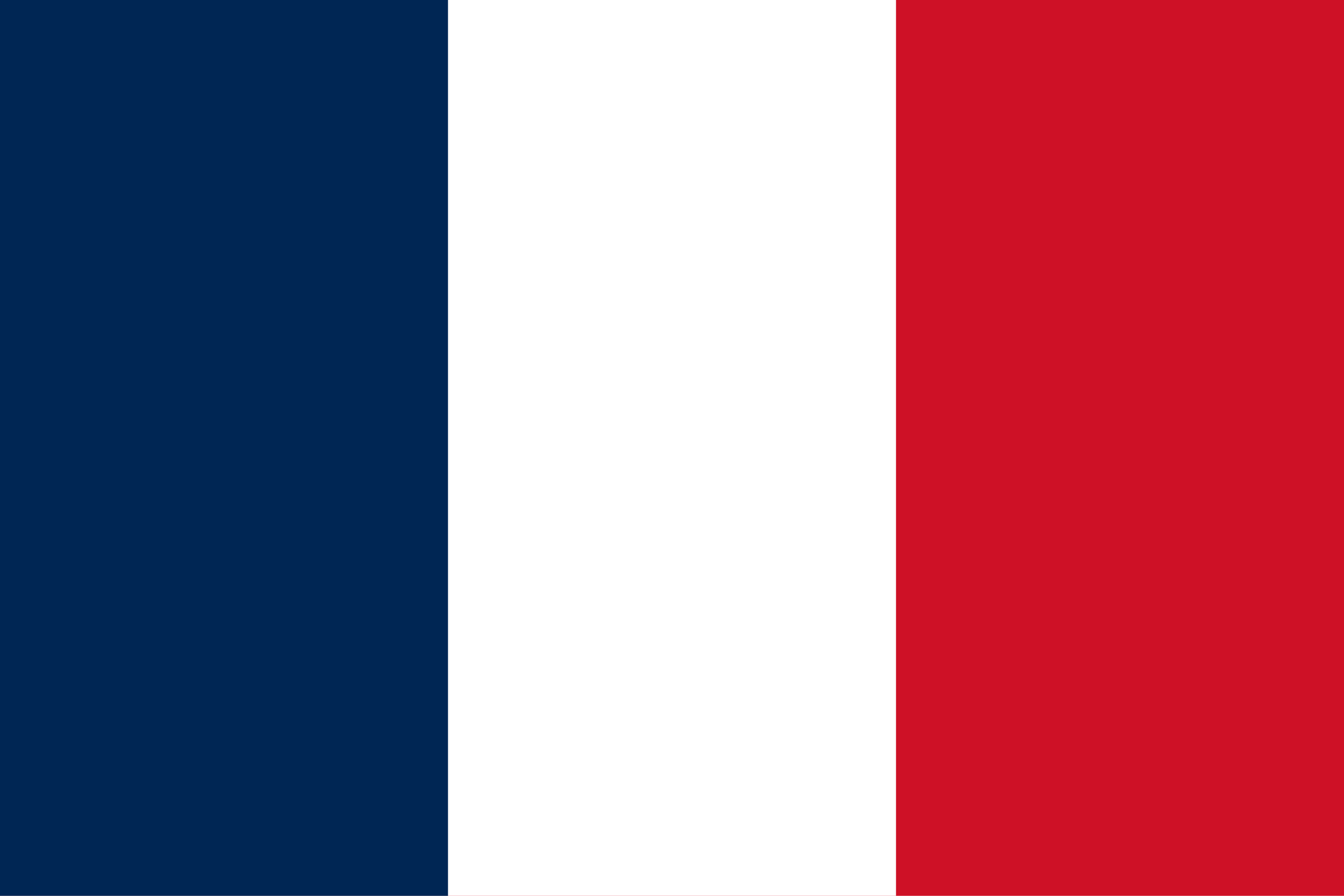 Flag_of_France.svg.png