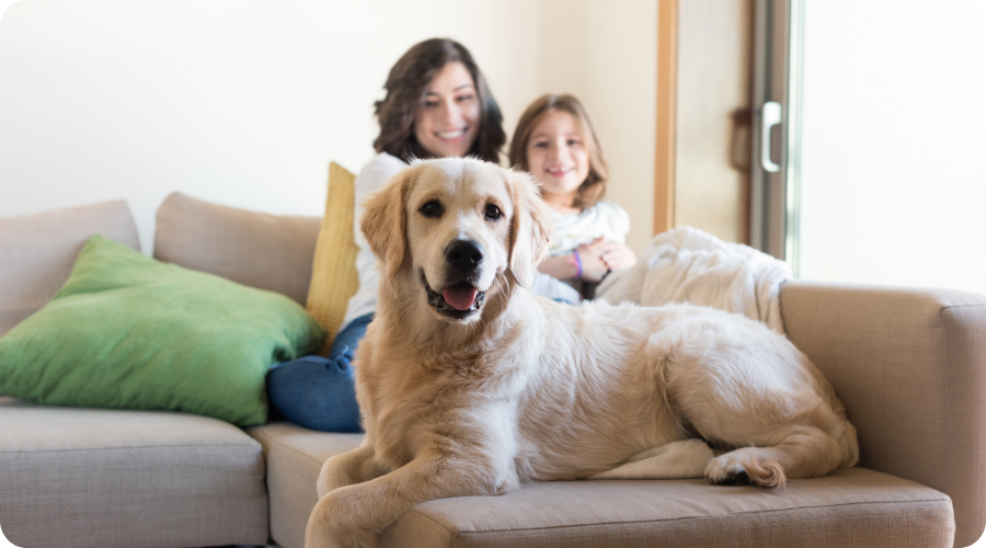 Un chien est assis sur le canapé, avec une mère et un enfant en arrière-plan.