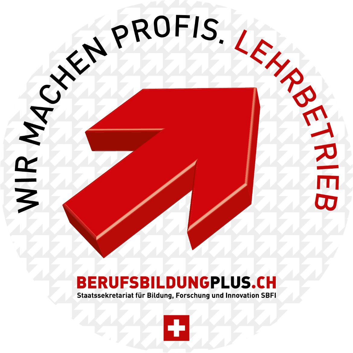 SBFI_Vignette_140mm_deutsch.jpg