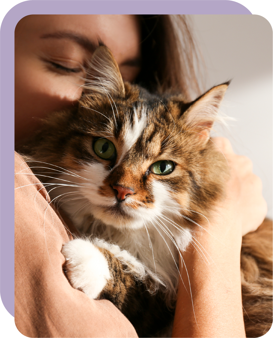 Una giovane donna coccola un gatto.